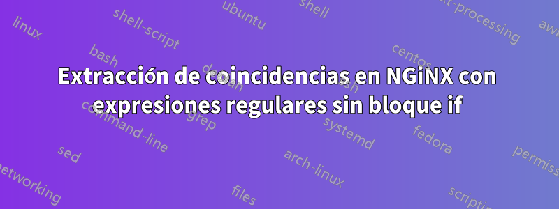 Extracción de coincidencias en NGiNX con expresiones regulares sin bloque if