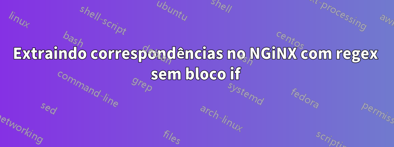 Extraindo correspondências no NGiNX com regex sem bloco if