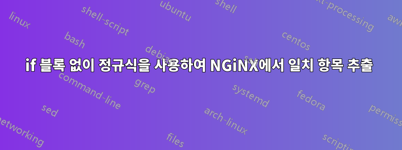 if 블록 없이 정규식을 사용하여 NGiNX에서 일치 항목 추출