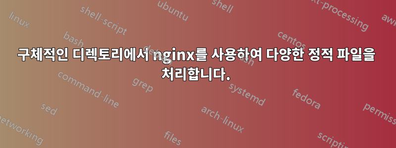 구체적인 디렉토리에서 nginx를 사용하여 다양한 정적 파일을 처리합니다.