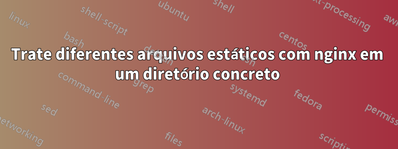 Trate diferentes arquivos estáticos com nginx em um diretório concreto