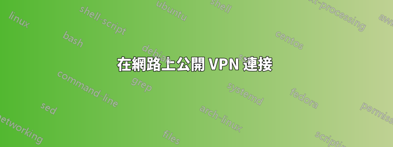 在網路上公開 VPN 連接
