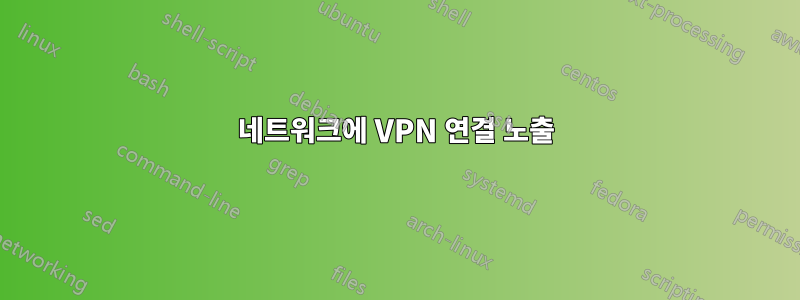 네트워크에 VPN 연결 노출