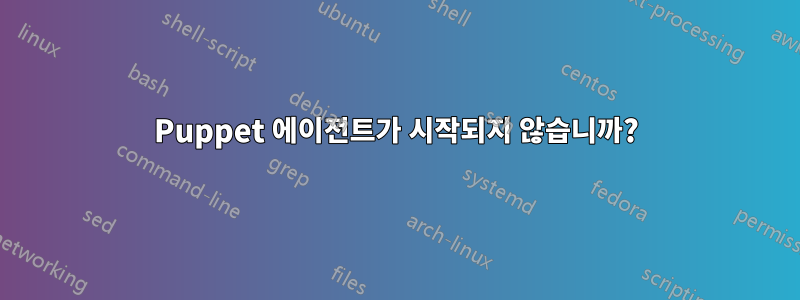 Puppet 에이전트가 시작되지 않습니까?