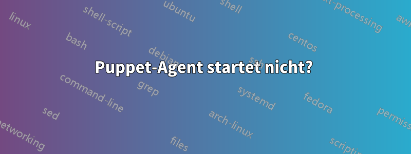Puppet-Agent startet nicht?