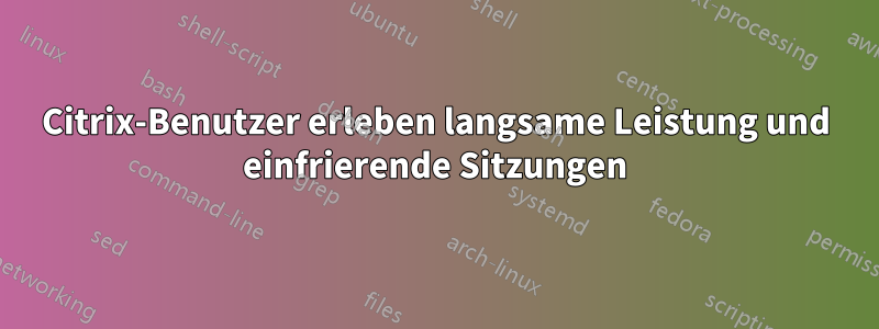 Citrix-Benutzer erleben langsame Leistung und einfrierende Sitzungen