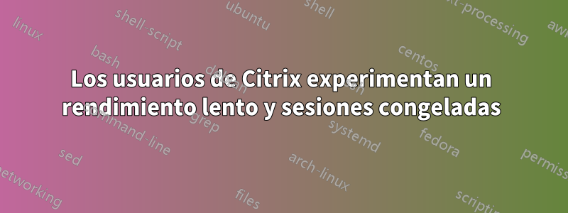 Los usuarios de Citrix experimentan un rendimiento lento y sesiones congeladas
