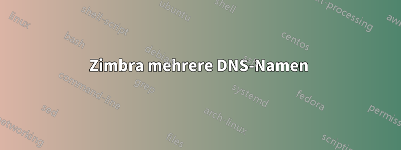 Zimbra mehrere DNS-Namen