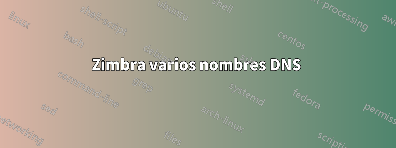 Zimbra varios nombres DNS