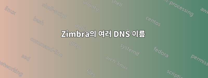 Zimbra의 여러 DNS 이름