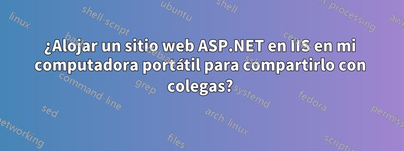 ¿Alojar un sitio web ASP.NET en IIS en mi computadora portátil para compartirlo con colegas?
