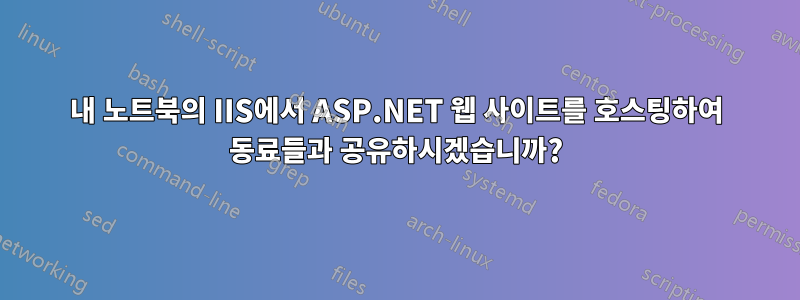 내 노트북의 IIS에서 ASP.NET 웹 사이트를 호스팅하여 동료들과 공유하시겠습니까?