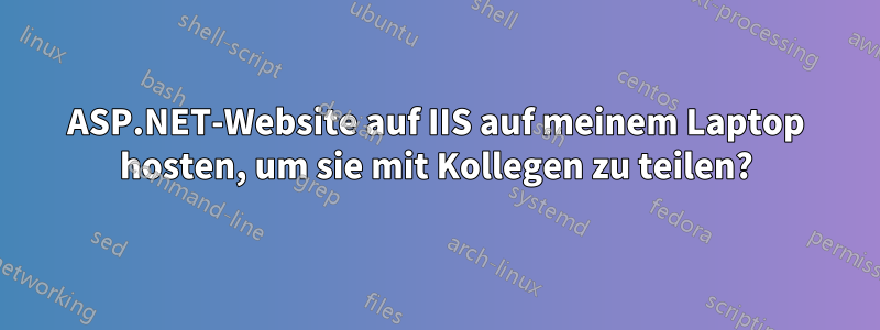 ASP.NET-Website auf IIS auf meinem Laptop hosten, um sie mit Kollegen zu teilen?