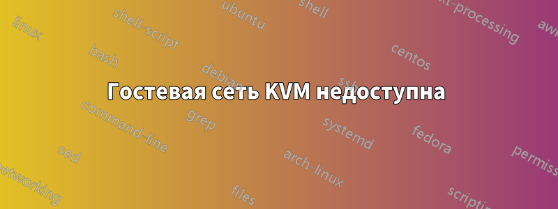 Гостевая сеть KVM недоступна