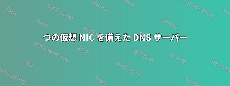 2 つの仮想 NIC を備えた DNS サーバー