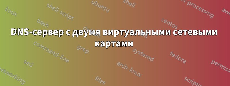 DNS-сервер с двумя виртуальными сетевыми картами