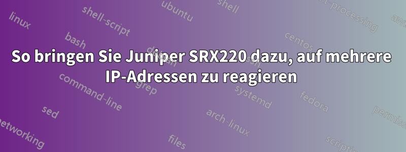 So bringen Sie Juniper SRX220 dazu, auf mehrere IP-Adressen zu reagieren