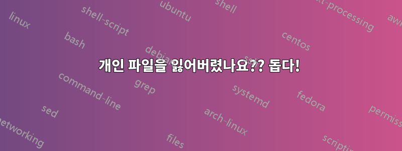 개인 파일을 잃어버렸나요?? 돕다!