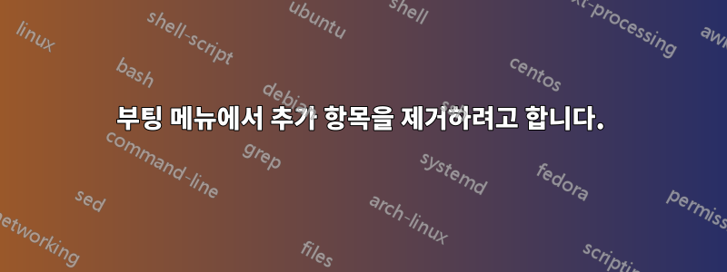 부팅 메뉴에서 추가 항목을 제거하려고 합니다.
