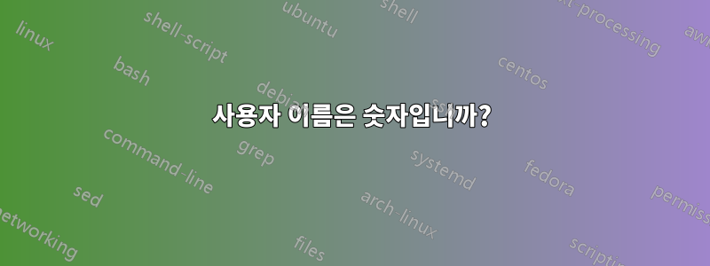 사용자 이름은 숫자입니까?