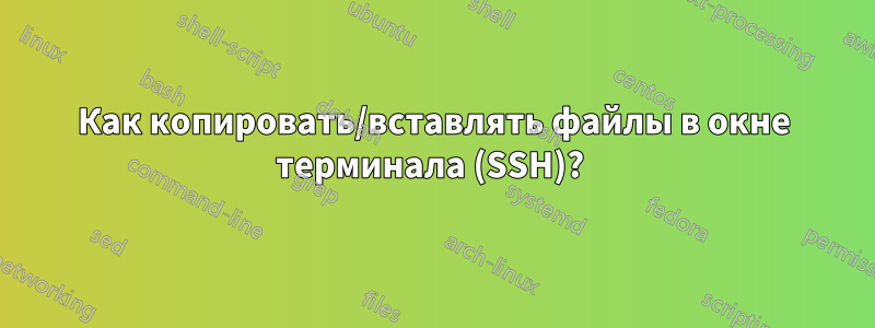 Как копировать/вставлять файлы в окне терминала (SSH)? 