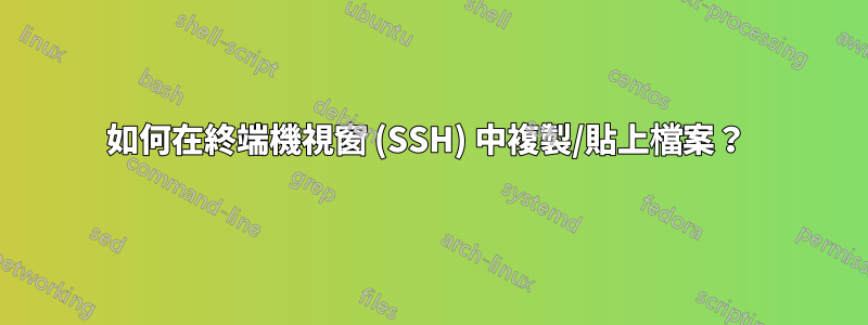 如何在終端機視窗 (SSH) 中複製/貼上檔案？ 