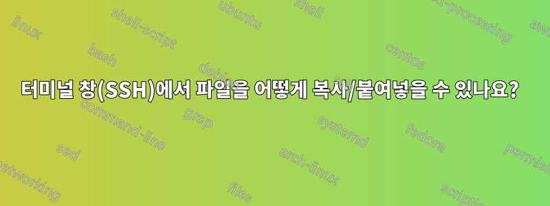 터미널 창(SSH)에서 파일을 어떻게 복사/붙여넣을 수 있나요? 