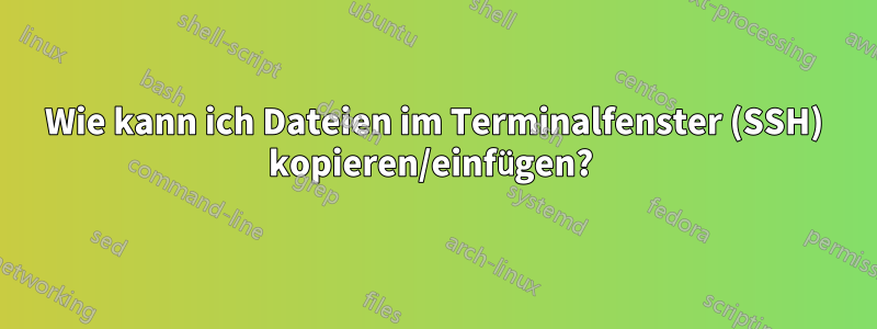 Wie kann ich Dateien im Terminalfenster (SSH) kopieren/einfügen? 