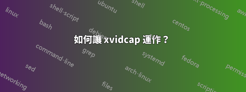 如何讓 xvidcap 運作？