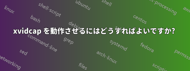 xvidcap を動作させるにはどうすればよいですか?