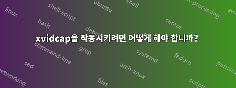 xvidcap을 작동시키려면 어떻게 해야 합니까?