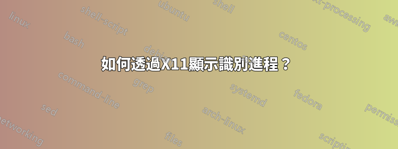 如何透過X11顯示識別進程？
