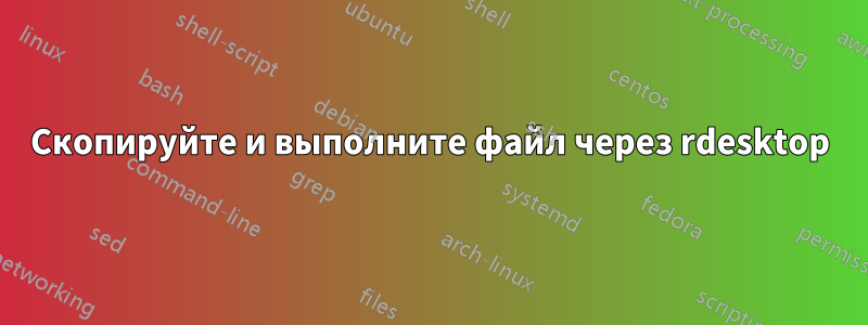 Скопируйте и выполните файл через rdesktop