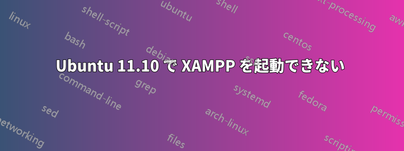 Ubuntu 11.10 で XAMPP を起動できない