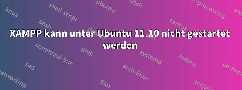XAMPP kann unter Ubuntu 11.10 nicht gestartet werden