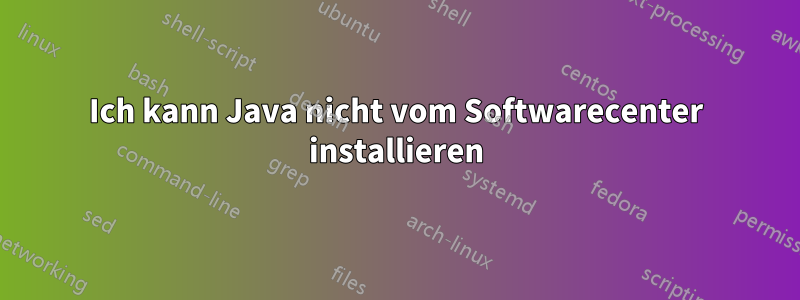 Ich kann Java nicht vom Softwarecenter installieren