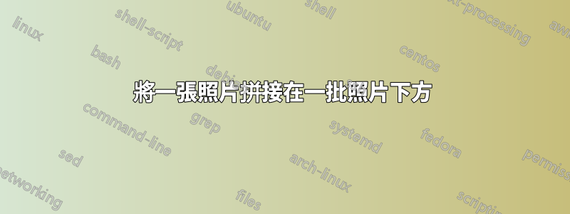將一張照片拼接在一批照片下方