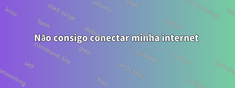 Não consigo conectar minha internet