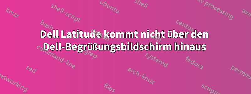 Dell Latitude kommt nicht über den Dell-Begrüßungsbildschirm hinaus
