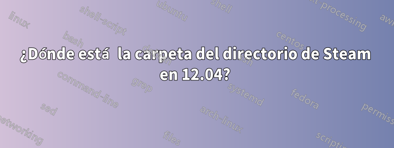 ¿Dónde está la carpeta del directorio de Steam en 12.04?