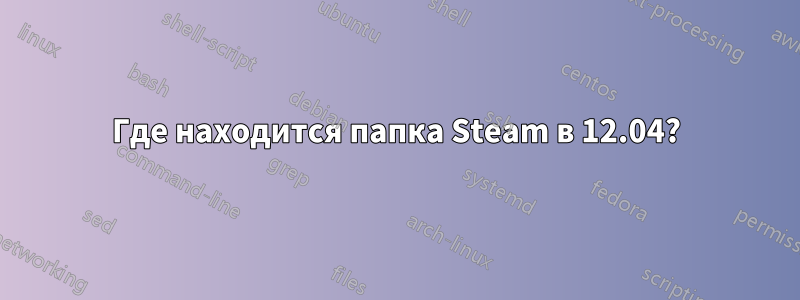 Где находится папка Steam в 12.04?