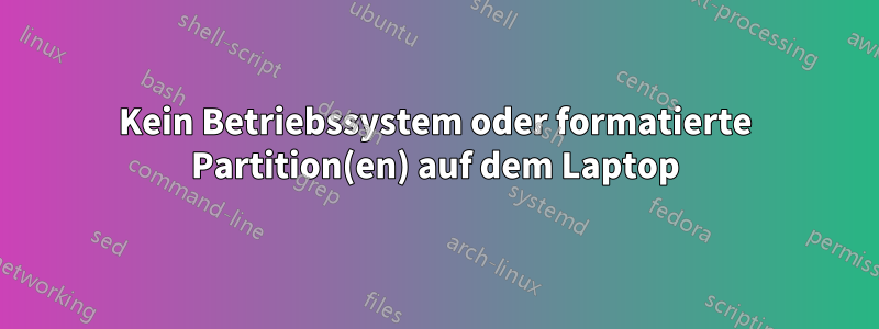 Kein Betriebssystem oder formatierte Partition(en) auf dem Laptop