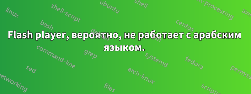 Flash player, вероятно, не работает с арабским языком.