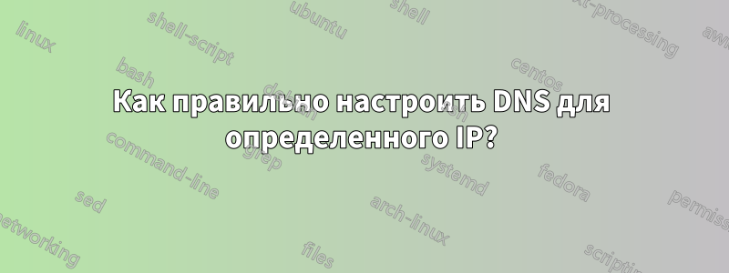 Как правильно настроить DNS для определенного IP?