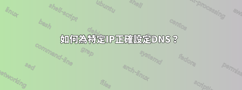 如何為特定IP正確設定DNS？