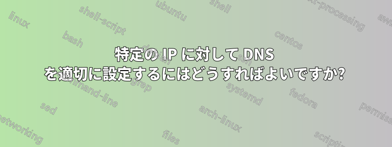 特定の IP に対して DNS を適切に設定するにはどうすればよいですか?