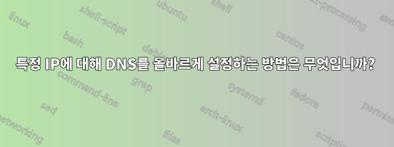 특정 IP에 대해 DNS를 올바르게 설정하는 방법은 무엇입니까?