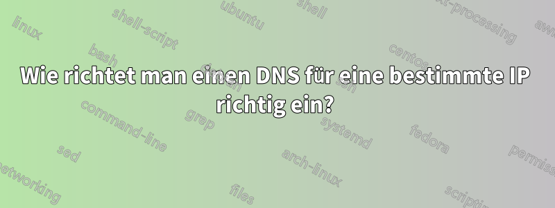 Wie richtet man einen DNS für eine bestimmte IP richtig ein?
