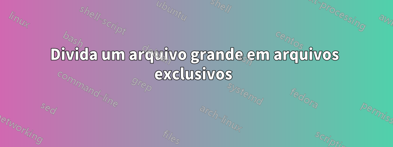 Divida um arquivo grande em arquivos exclusivos 