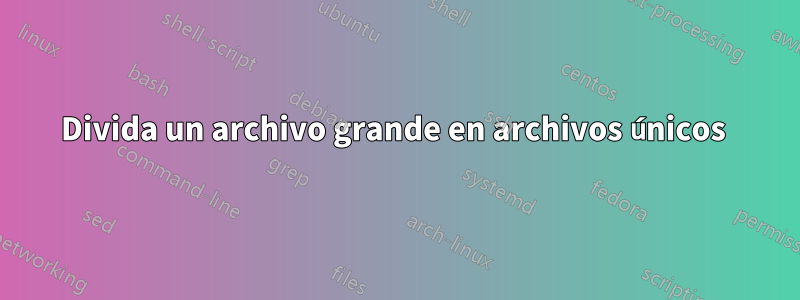 Divida un archivo grande en archivos únicos 